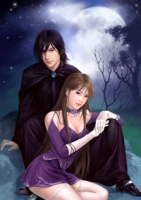 首席赘婿