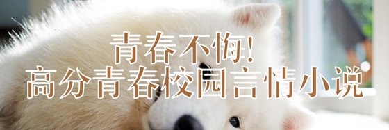 青春不悔！高分青春校園言情小說